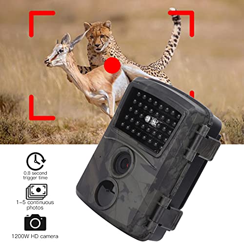 Dilwe Câmera para ambientes externos, câmera infravermelha HD1080P de 12 MP, filmadora de vida selva
