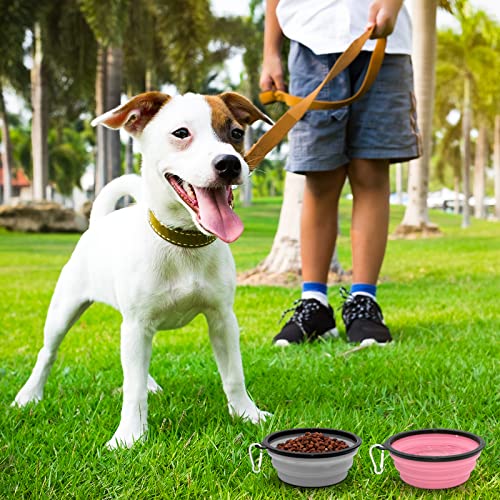 Collapsible Dog Cat Bowls 2 Pack Travel Dog Bowls Portable Pet Water Bowl Dog Cat Food Feeder Walking Hiking Camping Bowl For Small Medium Large Dogs (Small, Cool Gray & Light Pink) #TOP5