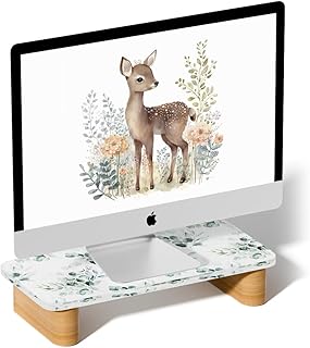 AFOOYO Acrylic Monitor Stand Riser Computer Desktop Stand with Wood Base,Laptop Stand Riser Holder,Table Holder Mount Desk Accessories Organizer Storage for Monitor,Laptop,Computer,Printer, iMac,16.5 inch，Watercolor Leaves