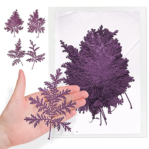 Hojas secas de Artemisia para resina 42 piezas miniatura 1