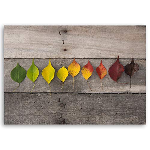 Tableau sur toile XXL feuillage rustique multicolore Feeby impression haute qualité