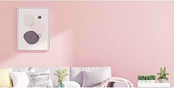 51Iv8TYHeAL._AC_UF350,