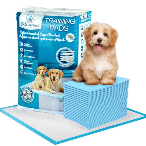 PetCellence Empapadores para Perros - Paquete de 30 Almohadillas Toallitas de Entrenamiento para Mascotas, Alfombrilla para Comedero y Bandeja de Adiestramiento para Cachorros - Grande 60 cm x 60 cm