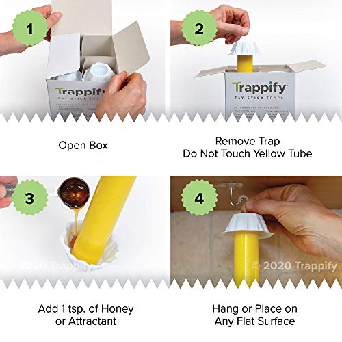 Trappify Hanging Fly Traps Outdoor: Fruit Fly Traps For Indoors | Fly Catcher, Gnat, Mosquito, & Flying Insect Catchers For Inside Home - Disposable Sticky Fly Trap For Indoor House Pest Control (2) #TOP6