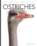Ostriches (Amazing Animals) (English Edition)