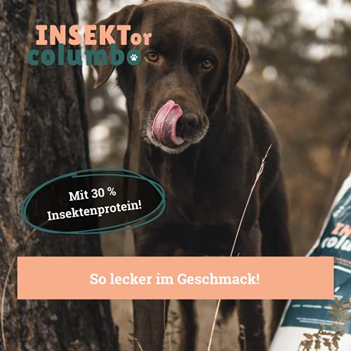 BeG Buddy Insekten Hundefutter, getreidefrei & hypoallergen Insektenfutter Hund - 30% Insektenprotein, Trockenfutter Insekt, Allergie, 750 g