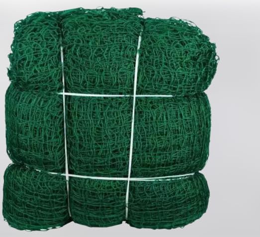 Rohinya Cricket NET 50X10 Nylon HDPE Cricket NET Cricket Net (Green) Cricket Net (Green) (B0CBHHHQS8) Amazon Price History, Amazon Price Tracker