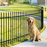 Thealyn Metal Garden Fence with Gate