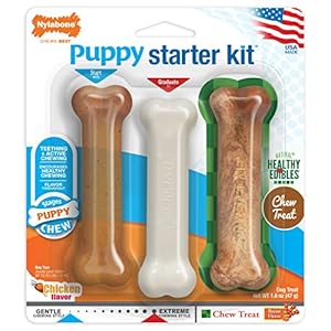 Nylabone Puppy Starter Kit Kauspielzeug 3er-Pack