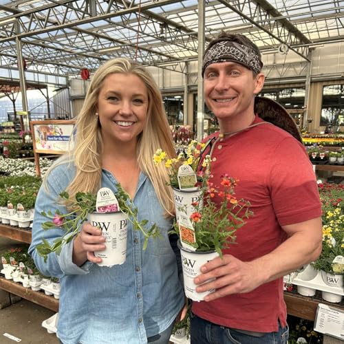 Get In Your Garden Today with Janey Santos Podcast Por  arte de portada