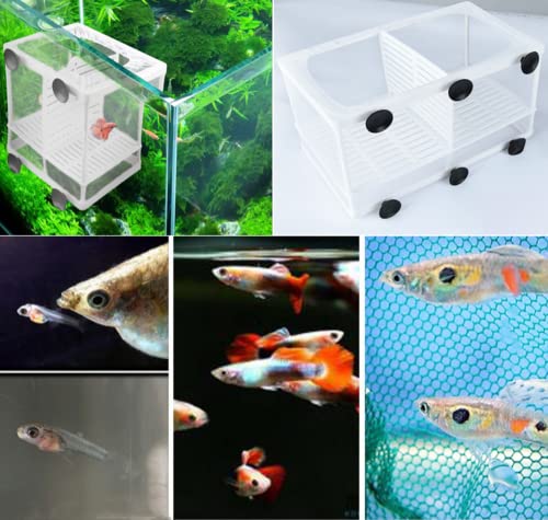 2 Pcs Aquarium Hatchery Net Fish Isolation Box,Nylon Mesh Fish Fry Hatchery Breeder Box Separation Net With Isolation Board #TOP4
