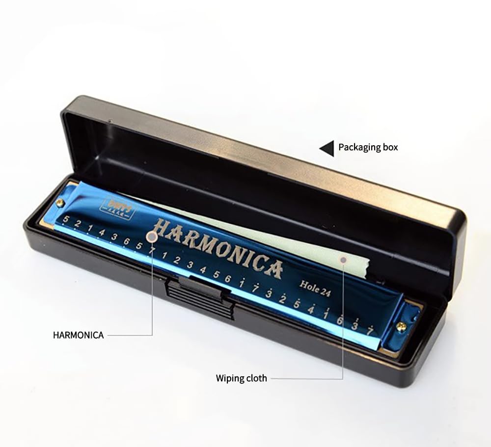Amazon.com: 24 Hole Polyphonic Harmonica in C Key, Colorful