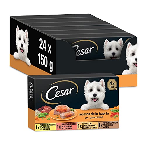Cesar Multipack Tarifs Alimentaires humides pour Chiens Sélection et gélatine, gélatine Recettes de la Huerta (Pack de 6 x 4 Tarrinas x 150g)