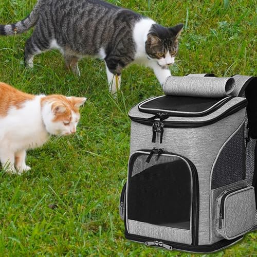 Porte-animaux portable extensible avec sling aéré pour chat