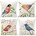 KUNQIAN Outdoor-Kissen, Vogel, bunt, Gartenkissen, Kissenbezug, Rotkehlchen, 4 Stück, Außen-Couch, dekorativ für Bank, Stuhl, Sofa, Möbel, Leinen, 45 x 45 cm