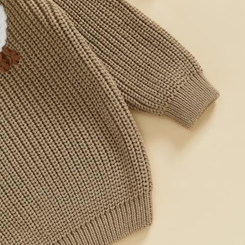 infant baby boy girl knit sweater rooster goose embroidery crew neck long sleeve pullover knit shirt winter clothes