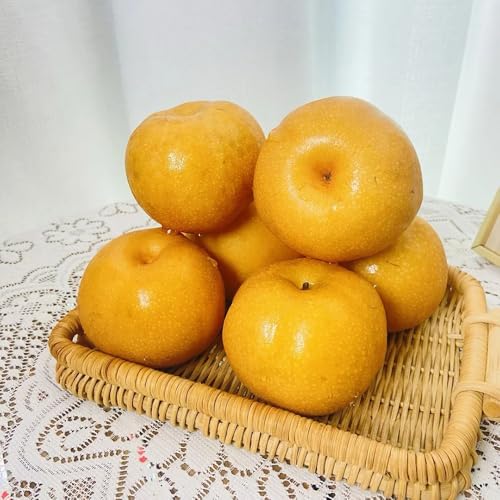 semillas resistentes de peral, balcon, variedades antiguas Balcón, perennes 50pcs