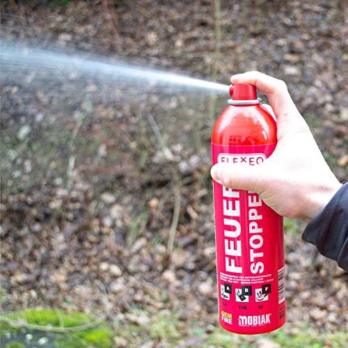 Feuerlöschspray FLEXEO 500ml für Haushalt und Auto