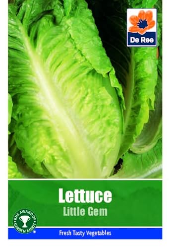 Lettuce Little Gem Seeds - 790 Seeds Vegetable Grow Your Own Garden Salad Herb Vegetable Seed