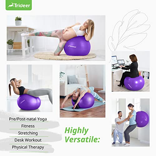 https://m.media-amazon.com/images/I/51IvSeEaBIL._SL500_.jpg