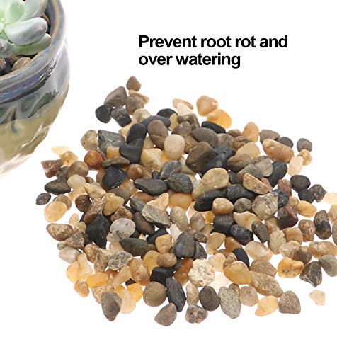River Pebbles Mixed Color Stones Decorative Gravel Succulent Cactus Bonsai Rocks Planter Great Fairy Garden Accessories For Aquariums, Landscaping, Vase Fillers, Tillandsia, Terrarium Plants 2.2Lb #TOP3