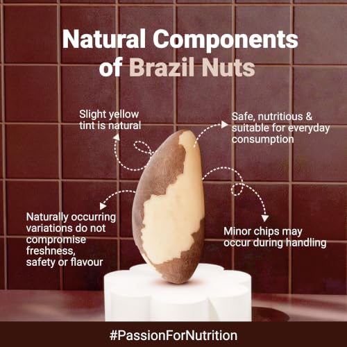 Image of Nutraj Brazil Nuts Roasted 100g Pouch | No Added Preservatives | Handpicked & Exotic | Raw & Unsalted Natural Whole