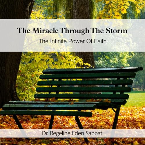 The Miracle Through the Storm cover art