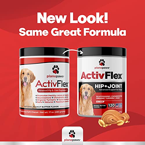 Glucosamine for Dogs Hip and Joint Supplement - Safe Joint Support for Dogs - Natural Dog Joint Supplement with Glucosamine Chondroitin MSM Turmeric - 120 Joint Care Chews for Dogs ActivTreats