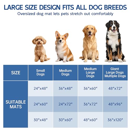 Naturei Chenille Absorbent Front Door Mat 48" x 30", Dog Door Mat for Muddy Paws, Trap Dirt Doormat, Mud Mat for Dogs, Washable Non Slip Outdoor Indoor Doormats for Entryway, Black by Naturei - Used condition - Image 7