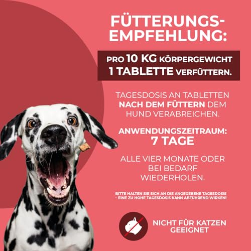 Hello Animal® Zeckilex - Zeckentabletten für Hunde - Pflanzliche Formel ohne Zusätze - Futterzusatzmittel mit Wermutkraut Extrakt - 10 Tabletten