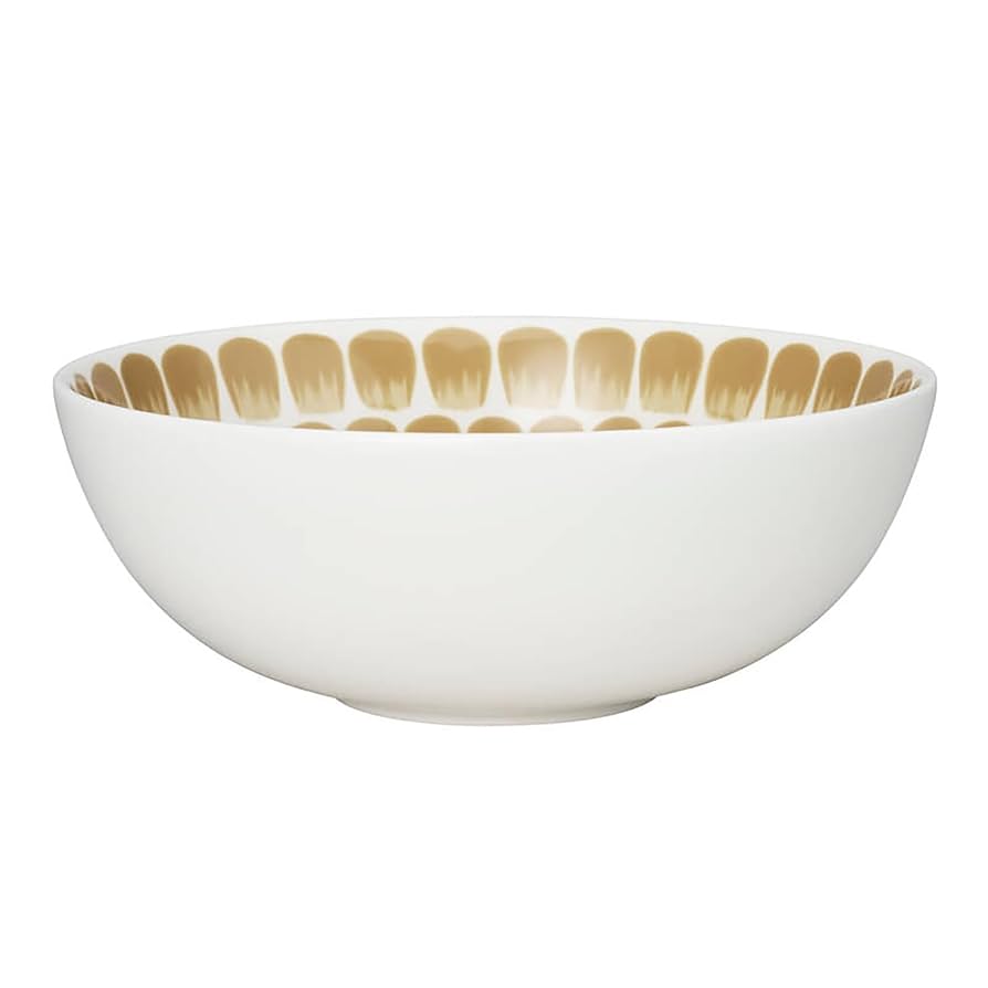 Amazon.co.jp: 【正規輸入品】 アラビア 食器 24h トゥオキオ