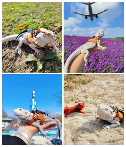Image of Reptile Pets Leash Harness Set with Jackets and a Party Theme Hat for Bearded Dragon Lizard, Leopard Gecko and Other Small Animal Pets, Outdoor Play, Red