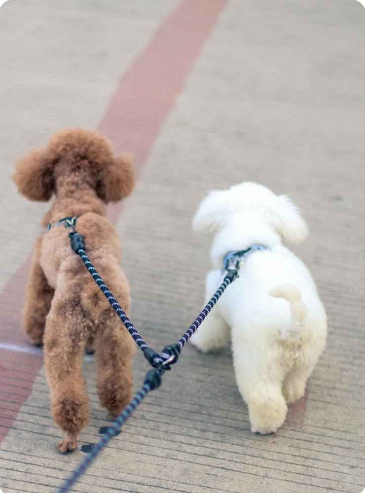 Mystercome Double Dog Leash 2 Way Coupler Anti Chew Dog Leash Extension Splitter Lead for 2 Small Dogs Walking (60cm)