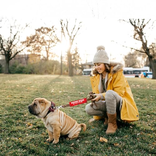 Rescue I Need Space Funny Red Dog Leash Sleeve Wrap Dog Walking Accessory  Pet Birthday Gift  Gift for Dog Owner and Lover  Cucciolini Doodles Rescue i need space funny red dog leash sleeve wrap dog walking accessory  pet birthday gift  gift for dog owner and lover   cucciolini doodles