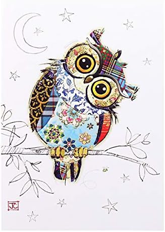 Greeting Card (BA-G023) - Blank/Birthday - Owen Owl - Foil and Embossed Finish - Suitable for Birthdays and Other Occasions