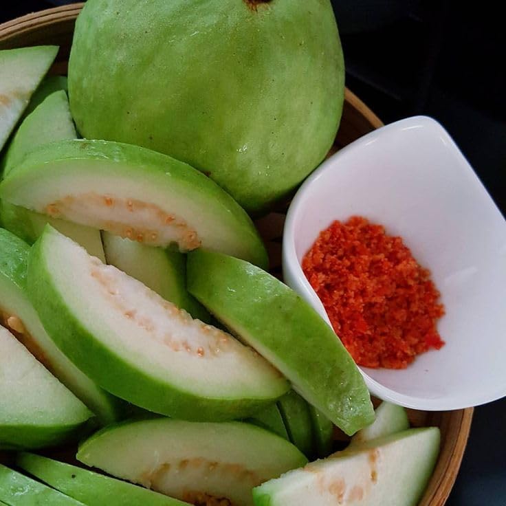 Image of Guava Sardar Lucknow-49 L-49 Amrood Variety Fruit (Air Layering /Grafted) Plants & Tree(1.5-3 Feet Size),CF SG29