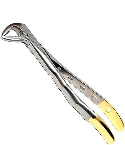 Vista 31 de Pinzas universales de extracción dental alemana, para extraer molares inferiores del hueso alveolar, mandíbulas dentadas, hechas de acero inoxidable
