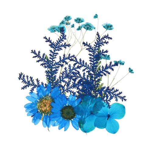 Flores Secas Prensadas Azules PATIKIL para Manualidades miniatura 1