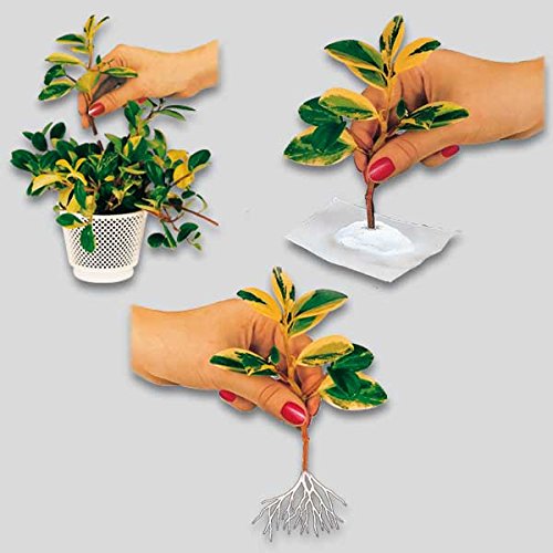 3 Elefanten Pflanzenklammern - Niedliche Pflanzenstützen Für Stecklinge