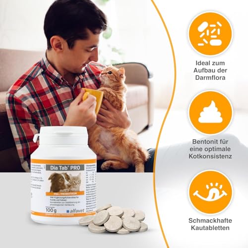 alfavet Dia Tab PRO 100 g – Diät-Ergänzungsfuttermittel für Hunde & Katzen – Prä- & Probiotika zur Stabilisierung der Verdauung – Leckere Kautabletten mit Bentonit zur Unterstützung der Darmflora