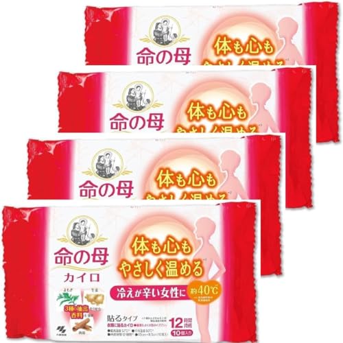 4Zbg \^Cv ̕ JC 10 ۉ ₦ h ~ 12Ԏ ܂Ƃߔ