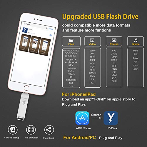 Looffy Chiavetta USB Memoria USB 128GB per iPhone Pen Drive iOS Flash Drive USB 3.0 per iPhone iPad Android Smartphone Tablet PC Macbook 4 in 1