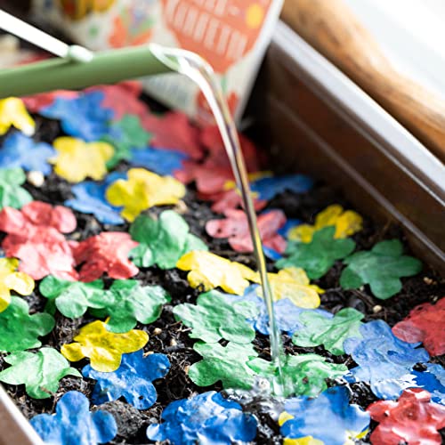 Saatgut Konfetti: 5g Abbaubares Konfetti Papier mit Blumen Samen – Blumen Konfetti aus Samenpapier – Blumenwiese Samen, OwnGrown Blumensamen Geschenk - Image 6