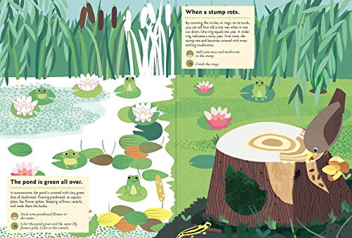 In the Forest: My Nature Sticker Activity Book (127 stickers, 29 activities, 1 quiz): My Nature Sticker Activity Book - Thumbnail 4
