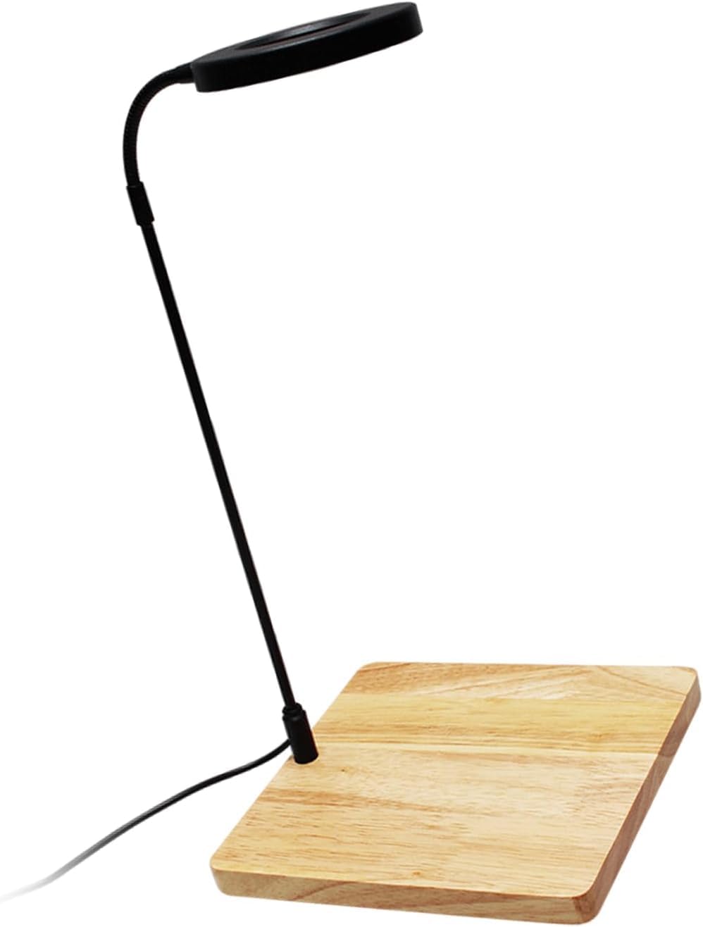 shengyi LED Rotating Aquarium Light with Natural Wood Stand for Small Fish Tank, Potted Succulent Plants 30CM
