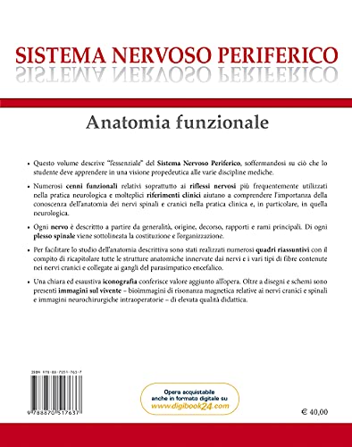 Sistema Nervoso Periferico. Anatomia Funzionale - 2