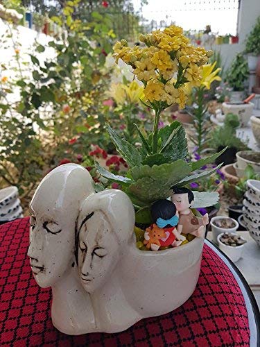 Image of Lasaki Couple Ivory Ceramic Pots for Indoor Plants, Planters, Flower, Pots, gamla, Outdoor, Balcony, Home, Garden, Office Decor, Succulent Pot(L - 16 X W - 10 X H - 14.5 cm)(Plants not Included)