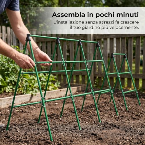 Soporte de metal de 2,1m de altura para guiar rosales y plantas trepadoras en jardín 4