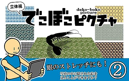 立体視 でこぼこピクチャ vol.2