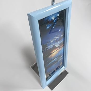 Amazon.co.jp: クリスチャンラッセン 鯨 宇宙 イルカ 額寸320